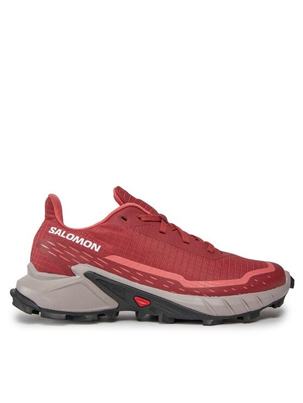 Salomon Salomon Tekaški čevlji Alphacross 5 W 473136 22 W0 Rjava