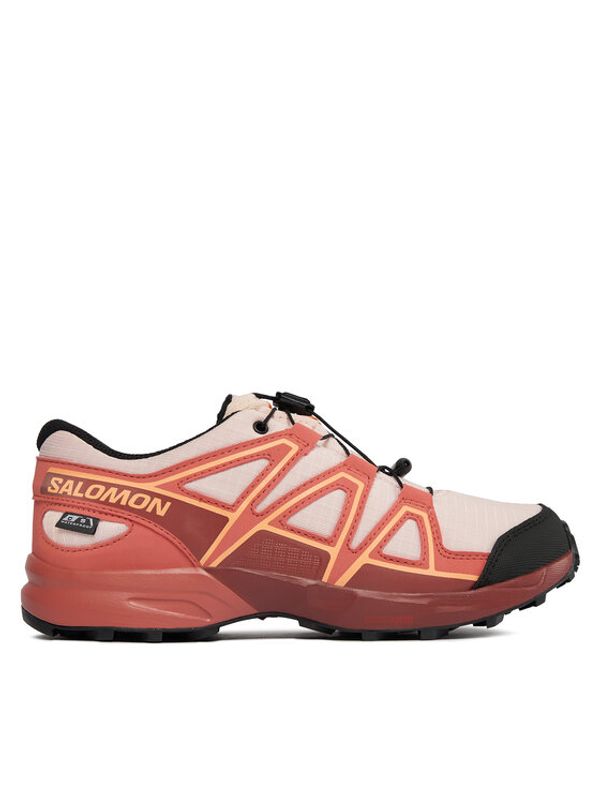 Salomon Salomon Tekaški čevlji Speedcross Climasalomon™ Waterproof L47278800 Roza