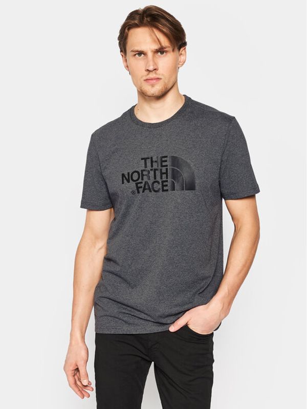 The North Face The North Face Majica NF0A2TX3 Siva Regular Fit