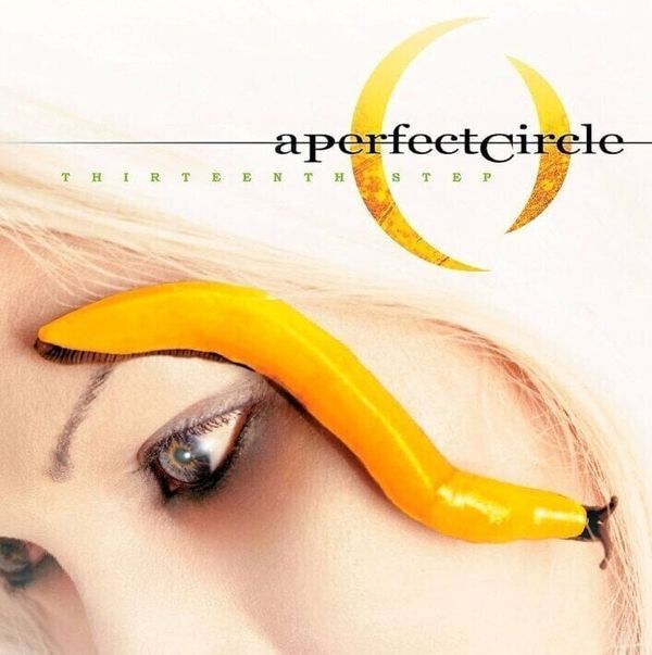 A Perfect Circle A Perfect Circle - Thirteenth Step (Reissue) (2 LP)