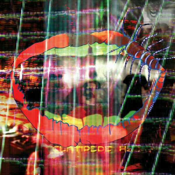 Animal Collective Animal Collective - Centipede HZ (2 LP)