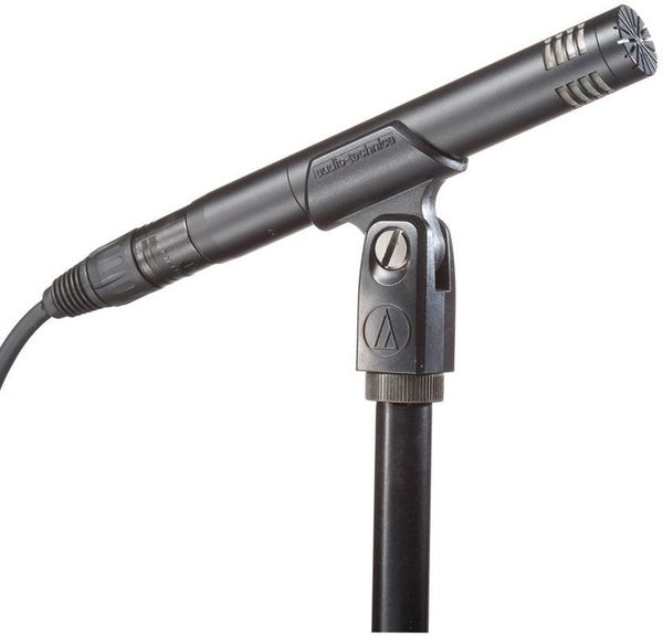 Audio-Technica Audio-Technica AT2031 Cardioid Condenser Microphone