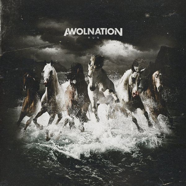 Awolnation Awolnation Run (2 LP)