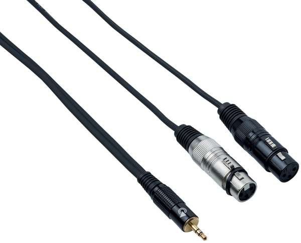 Bespeco Bespeco EAYMS2FX300 3 m Avdio kabel