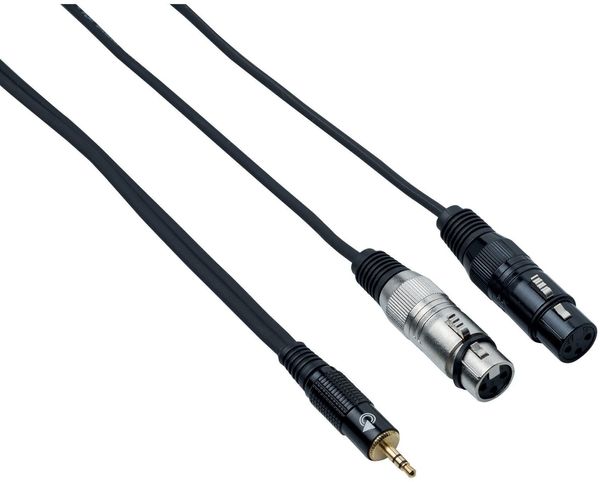 Bespeco Bespeco EAYMS2FX500 5 m Audio kabel