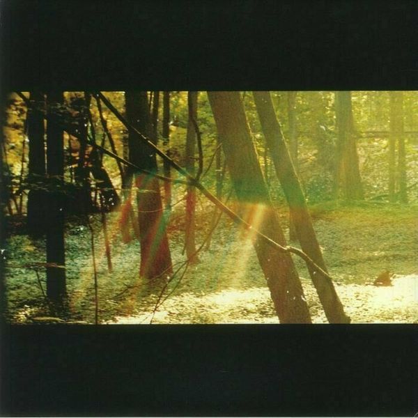 Childish Gambino Childish Gambino - Camp (180g) (2 LP)