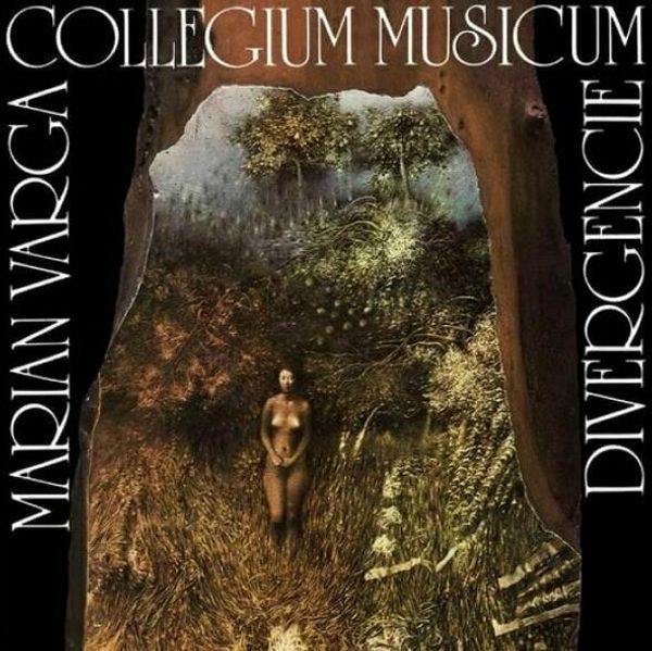 Collegium Musicum Collegium Musicum - Divergencie (180g) (2 LP)