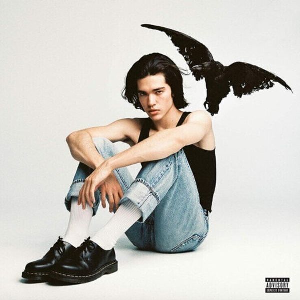 Conan Gray Conan Gray - Kid Krow (LP)