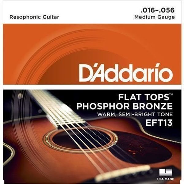 D'Addario D'Addario EFT13
