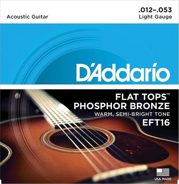 D'Addario D'Addario EFT16