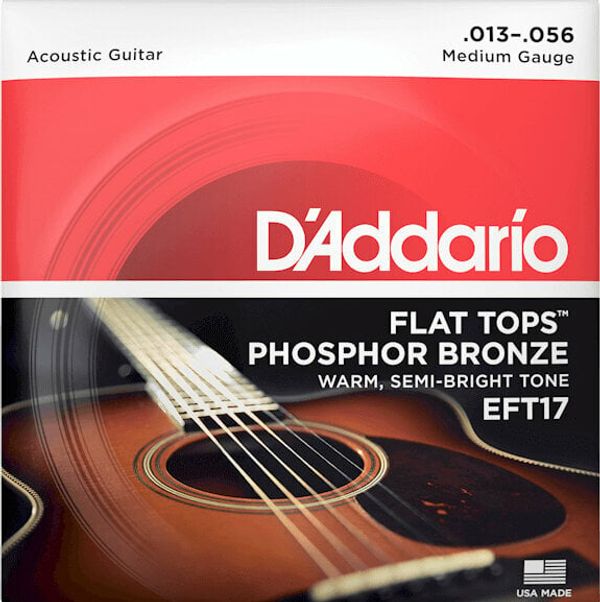 D'Addario D'Addario EFT17