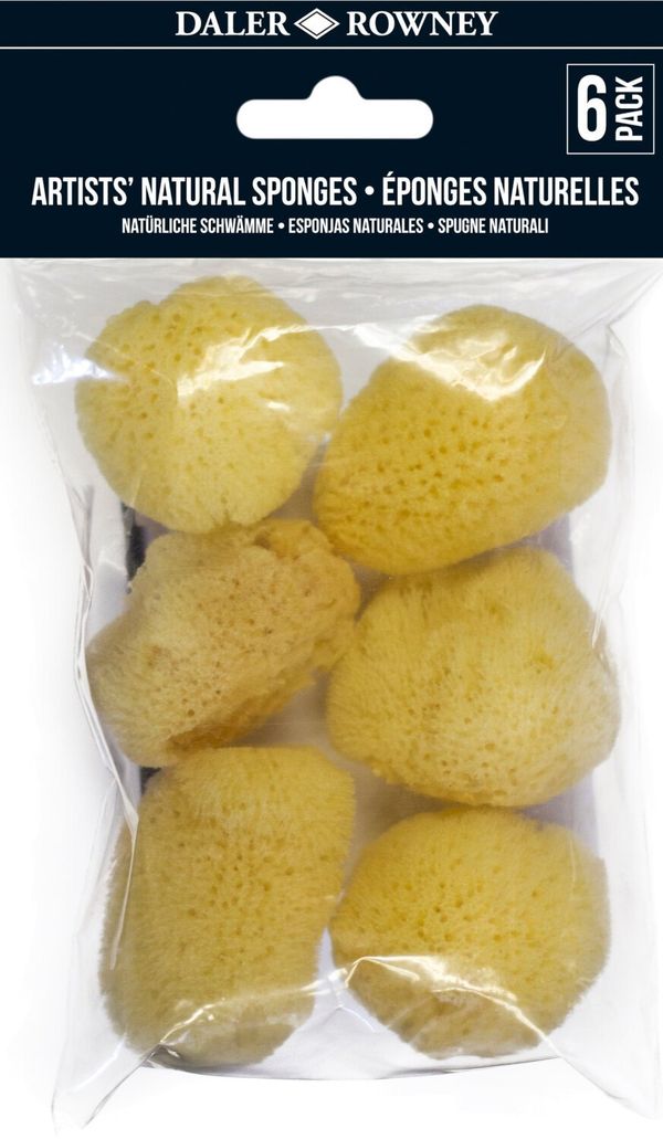 Daler Rowney Daler Rowney 132990010 Gobice za slikanje