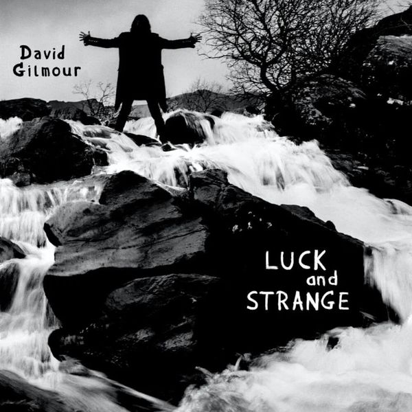 David Gilmour David Gilmour - Luck and Strange (LP)