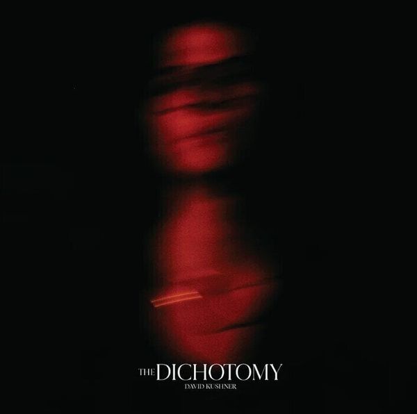 David Kushner David Kushner - The Dichotomy (2 LP)