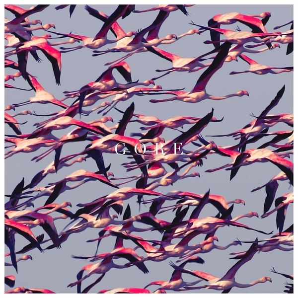 Deftones Deftones - Gore (LP)