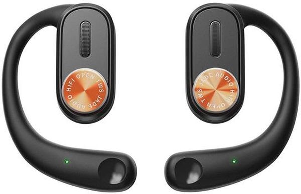 FiiO FiiO JW1 Black Ušesne zanke slušalke