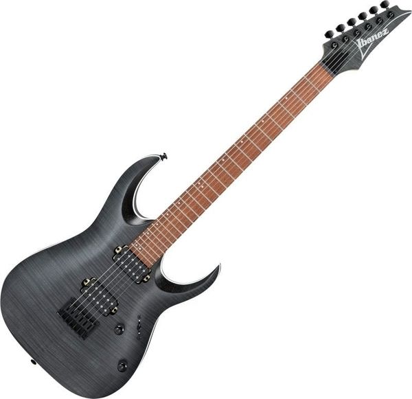 Ibanez Ibanez RGA42FM-TGF Transparent Gray Flat