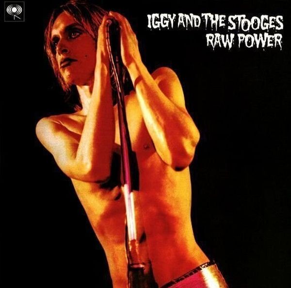 Iggy Pop Iggy Pop & The Stooges - Raw Power (2 LP)