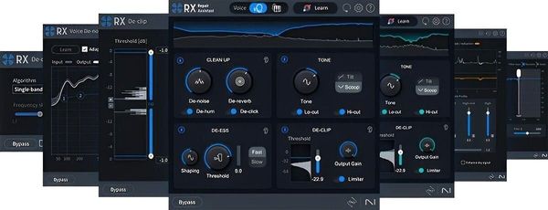 iZotope iZotope RX 11 Elements (Digitalni izdelek)