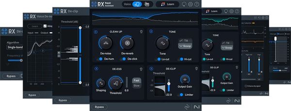 iZotope iZotope RX 11 Elements EDU (Digitalni izdelek)