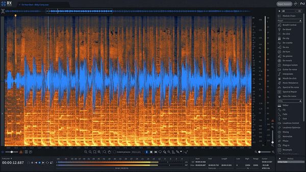 iZotope iZotope RX 11 Standard: CRG from any paid iZotope product (Digitalni izdelek)