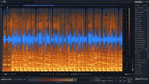 iZotope iZotope RX 11 Standard (Digitalni izdelek)