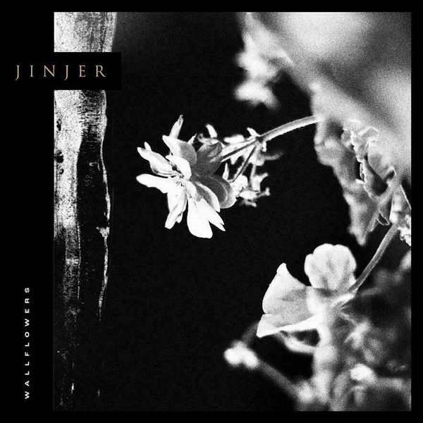Jinjer Jinjer - Wallflowers (Limited Edition) (LP)