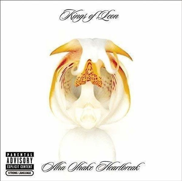 Kings of Leon Kings of Leon Aha Shake Heartbreak (2 LP)