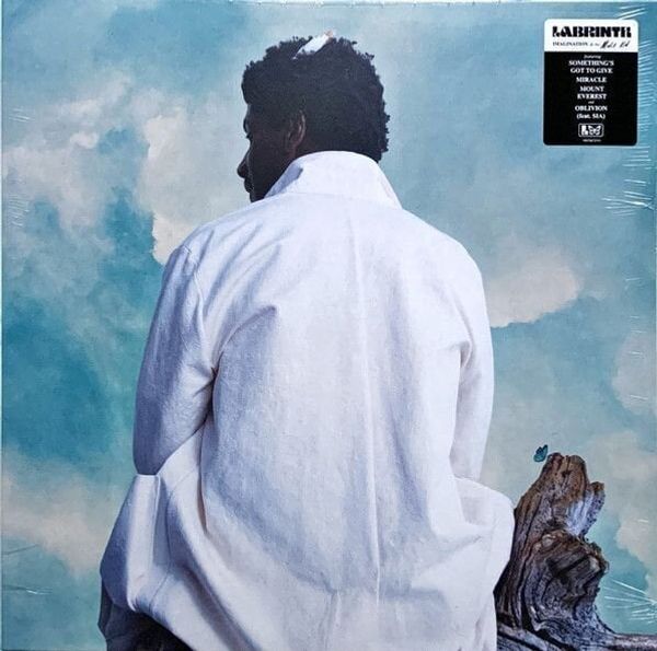 Labrinth Labrinth - Misfit Kid (LP)