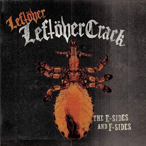Leftover Crack Leftover Crack - The E-Sides And F-Sides (2 LP)