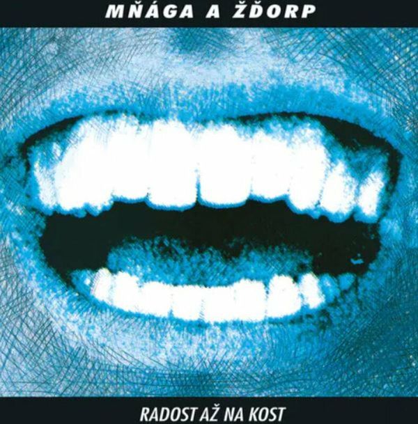 Mňága a Žďorp Mňága a Žďorp - Radost Až Na Kost (30th Anniversary) (Remastered) (2 LP)