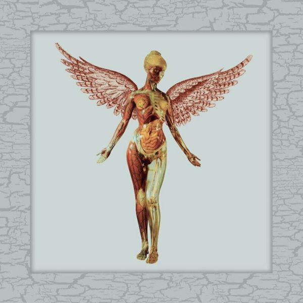 Nirvana Nirvana - In Utero (Limited Edition) (Deluxe Edition) (4 LP)