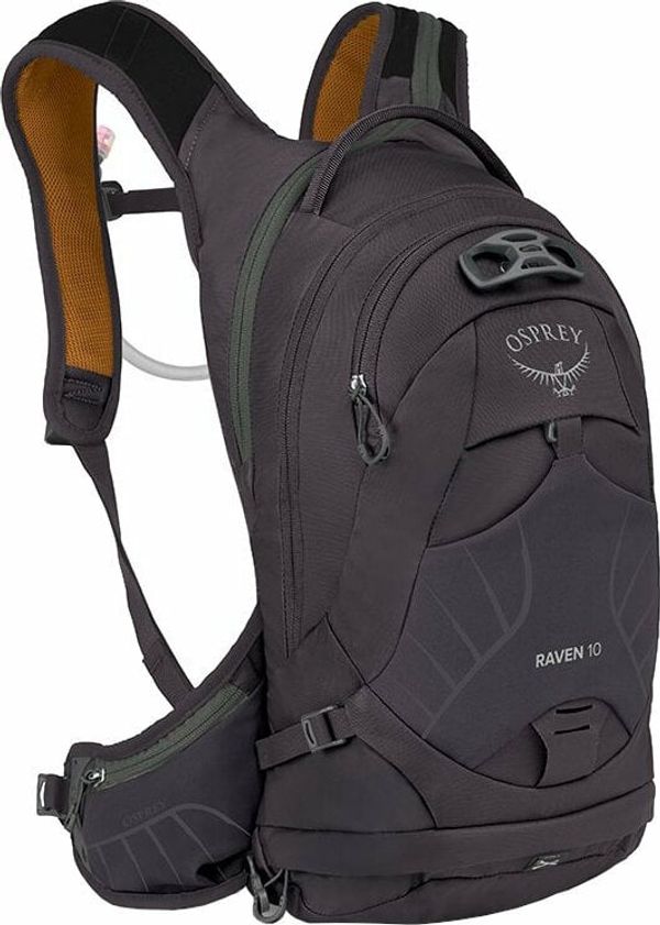 Osprey Osprey Raven 10 Space Travel Grey Nahrbtnik