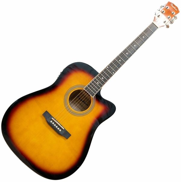 Pasadena Pasadena SG028CE Vintage Sunburst