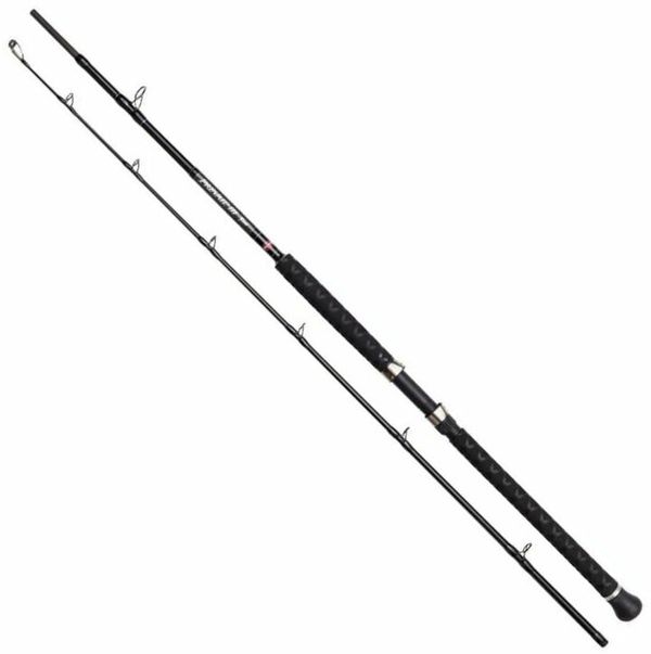 Penn Penn Prevail III LE 212 Boat 2,1 m 30 - 50 lb 2 deli