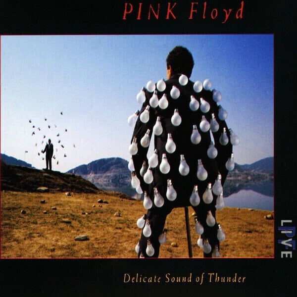 Pink Floyd Pink Floyd - Delicate Sound Of Thunder (2 CD)