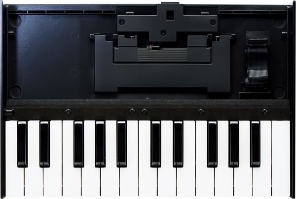 Roland Roland K-25M