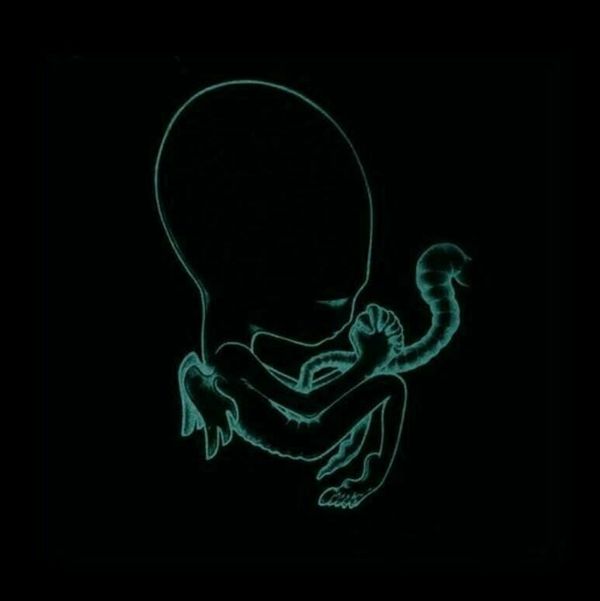 Sigur Rós Sigur Rós - Ágatis Byrjun (2 LP)