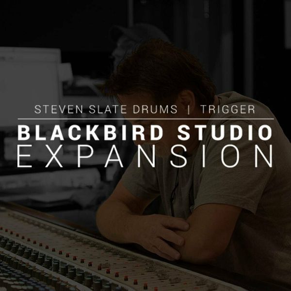 Steven Slate Steven Slate SSD Blackbird (Expansion) (Digitalni izdelek)