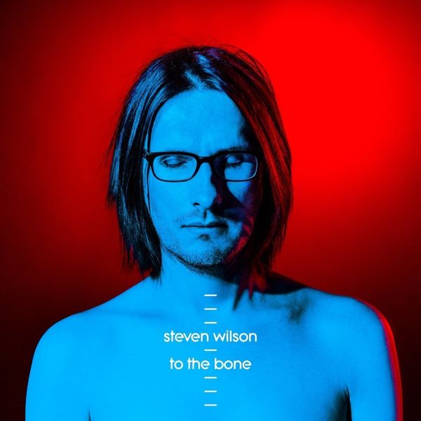 Steven Wilson Steven Wilson - To The Bone (2 LP)