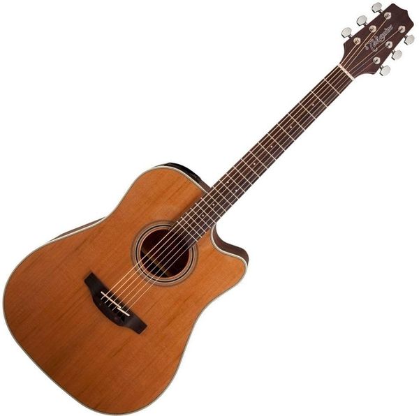 Takamine Takamine GD20CE Natural Satin