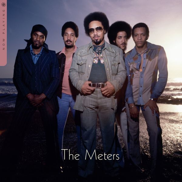 The Meters The Meters - Now Playing (Limited Edition) (Black Ice Coloured) (LP)