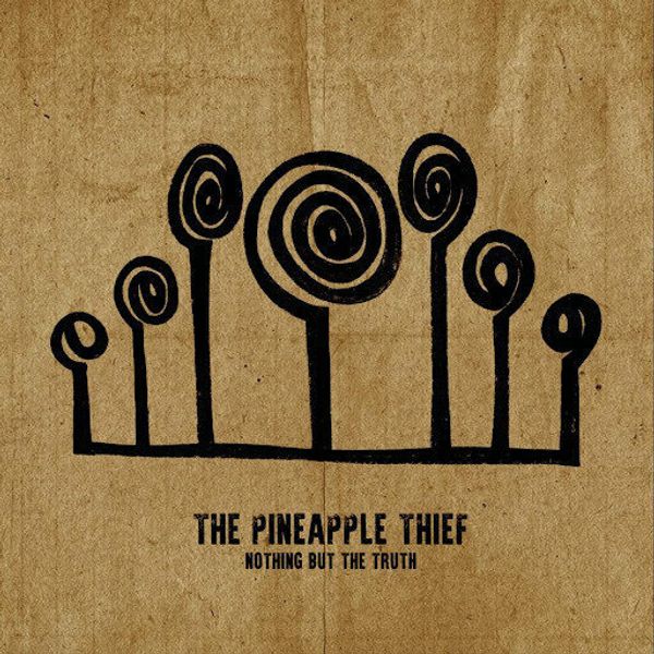 The Pineapple Thief The Pineapple Thief - Nothing But The Truth (2 LP)