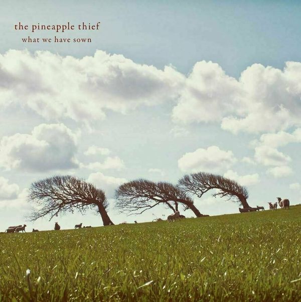 The Pineapple Thief The Pineapple Thief - What We Have Sown (2 LP)