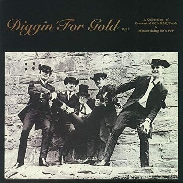 Various Artists Various Artists - Diggin’ For Gold Volume 2 (LP)