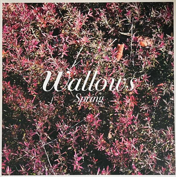 Wallows Wallows - Spring (Green & Pink Coloured) (12" Vinyl)