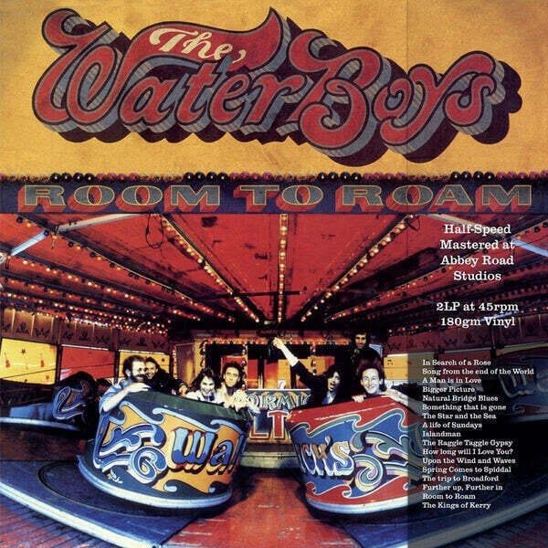 Waterboys Waterboys - Room To Roam (Remastered) (180 g) (2 LP)