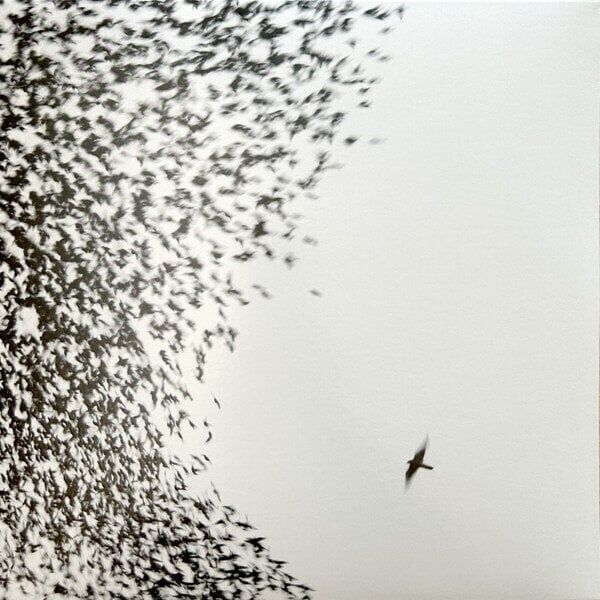 Wilco Wilco - Sky Blue Sky (2 LP)