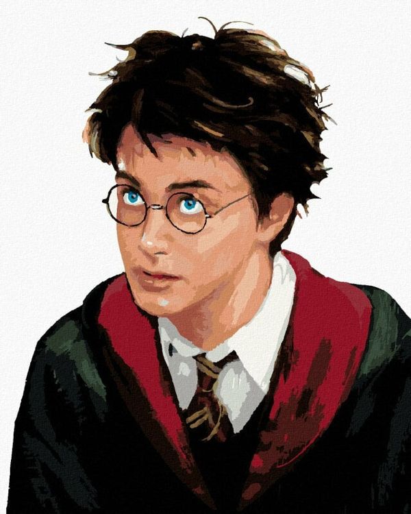 Zuty Zuty Barvanje po številkah Portret Harryja Potterja