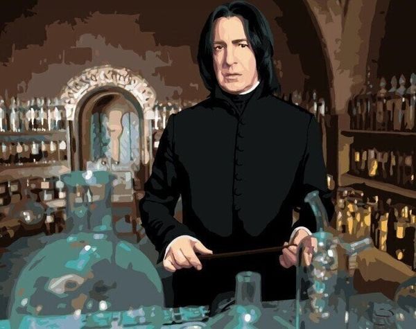 Zuty Zuty Slikanje po številkah Severus Snape pri uri napitkov (Harry Potter)